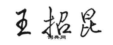 駱恆光王招昆行書個性簽名怎么寫