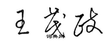 駱恆光王茂政草書個性簽名怎么寫