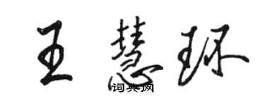 駱恆光王慧環行書個性簽名怎么寫