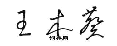 駱恆光王木葵草書個性簽名怎么寫