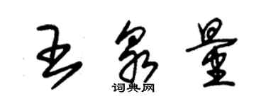 朱錫榮王泉量草書個性簽名怎么寫