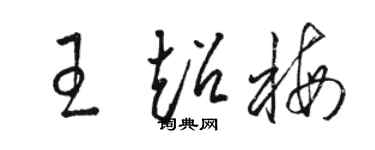 駱恆光王超梅草書個性簽名怎么寫