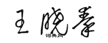駱恆光王曉秦草書個性簽名怎么寫