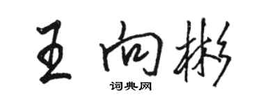 駱恆光王向彬行書個性簽名怎么寫