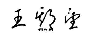 梁錦英王期望草書個性簽名怎么寫