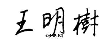 王正良王明樹行書個性簽名怎么寫