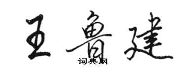 駱恆光王魯建行書個性簽名怎么寫