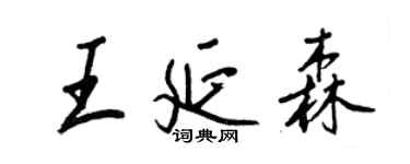 王正良王延森行書個性簽名怎么寫