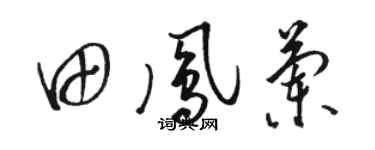 駱恆光田鳳蘭草書個性簽名怎么寫