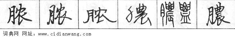 鋼筆字典