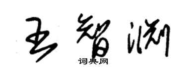 朱錫榮王智淵草書個性簽名怎么寫