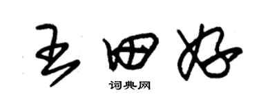 朱錫榮王田妤草書個性簽名怎么寫