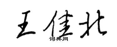王正良王佳北行書個性簽名怎么寫