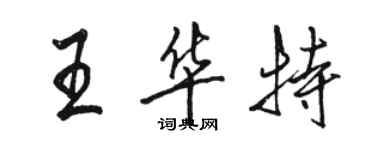 駱恆光王華特行書個性簽名怎么寫