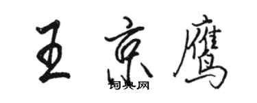 駱恆光王京鷹行書個性簽名怎么寫