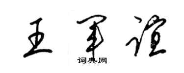 梁錦英王軍誼草書個性簽名怎么寫