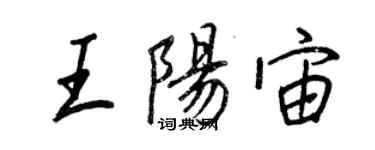 王正良王陽宙行書個性簽名怎么寫