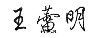 駱恆光王蕾明行書個性簽名怎么寫