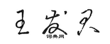 駱恆光王發君草書個性簽名怎么寫