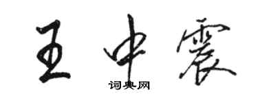 駱恆光王中震行書個性簽名怎么寫