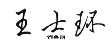 駱恆光王士環行書個性簽名怎么寫