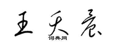 梁錦英王夭晨草書個性簽名怎么寫