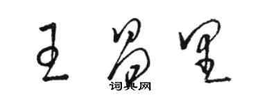 駱恆光王昌里草書個性簽名怎么寫