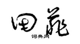 曾慶福田菲草書個性簽名怎么寫
