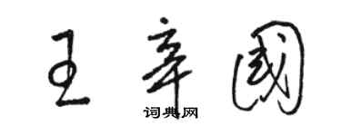 駱恆光王辛國草書個性簽名怎么寫