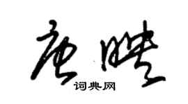 朱錫榮唐映草書個性簽名怎么寫