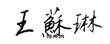 王正良王蘇琳行書個性簽名怎么寫