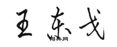 駱恆光王東戈行書個性簽名怎么寫