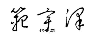 梁錦英范宇澤草書個性簽名怎么寫