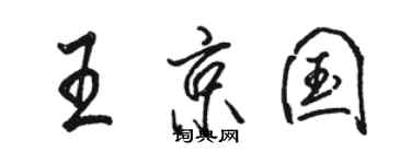 駱恆光王京國行書個性簽名怎么寫