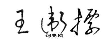駱恆光王衛標草書個性簽名怎么寫