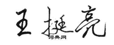 駱恆光王挺亮行書個性簽名怎么寫