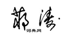 朱錫榮蔣濤草書個性簽名怎么寫