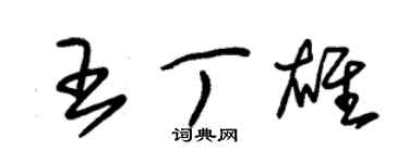 朱錫榮王丁雄草書個性簽名怎么寫