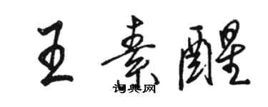 駱恆光王素醒行書個性簽名怎么寫