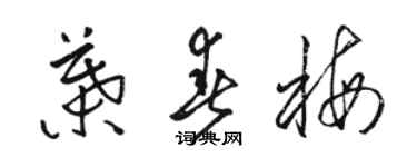 駱恆光葉春梅草書個性簽名怎么寫