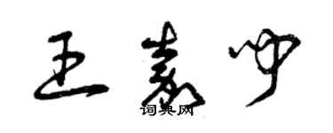 曾慶福王嘉聞草書個性簽名怎么寫