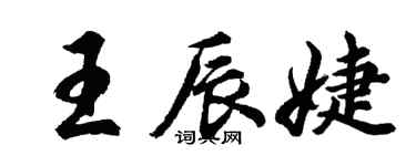 胡問遂王辰婕行書個性簽名怎么寫