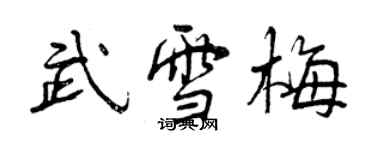 曾慶福武雪梅行書個性簽名怎么寫