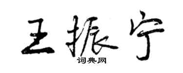 曾慶福王振寧行書個性簽名怎么寫