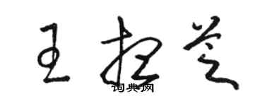 駱恆光王想芝草書個性簽名怎么寫