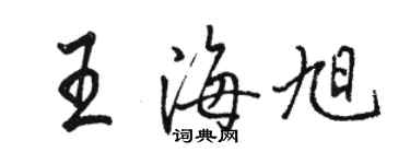 駱恆光王海旭行書個性簽名怎么寫