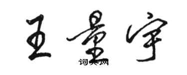 駱恆光王量宇行書個性簽名怎么寫