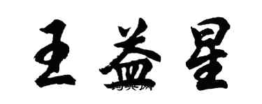 胡問遂王益星行書個性簽名怎么寫