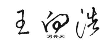 駱恆光王向浩草書個性簽名怎么寫