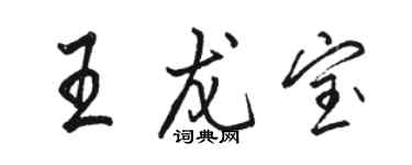 駱恆光王龍寶行書個性簽名怎么寫